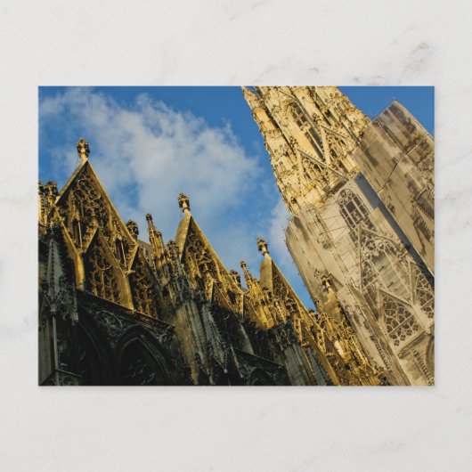 Stephansdom Postkarte (Vorderseite)