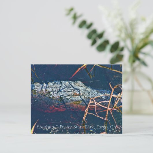 Stephen C Foster Staat Park, Gator Postkarte (Stehend Vorderseite)