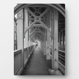 Stephensons High Level Bridge, Newcastle Upon Tyne Fotoplatte