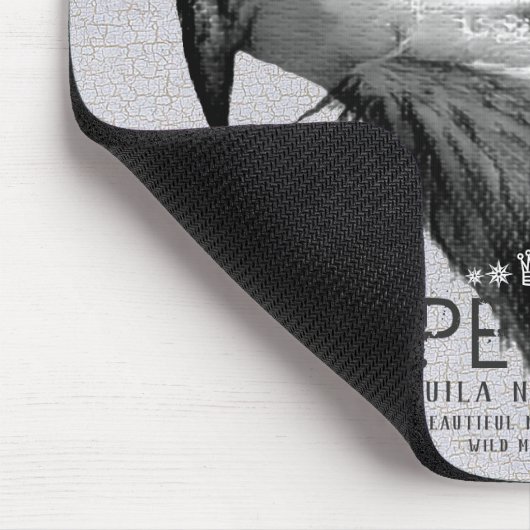 Steppe Eagle Mousepad (Ecke)