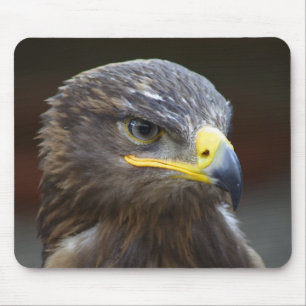 Steppe Eagle Nah-Up Portrait Mousepad