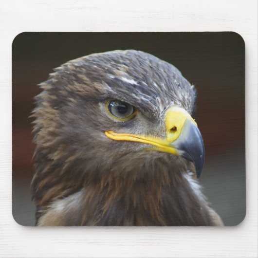 Steppe Eagle Nah-Up Portrait Mousepad (Vorne)