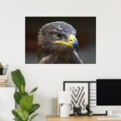Steppe Eagle Nah-Up Portrait Poster (Heimbüro)