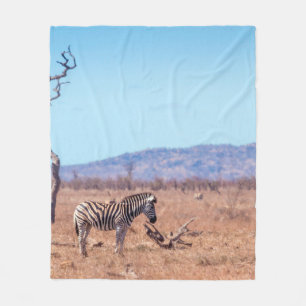 Steppenzebra im Kruger-Nationalpark, Südafrika Fleecedecke