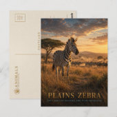 Steppenzebra Ostafrikanische Savanne TIERE Postkarte (Vorne/Hinten)