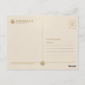 Steppenzebra Ostafrikanische Savanne TIERE Postkarte (Rückseite)