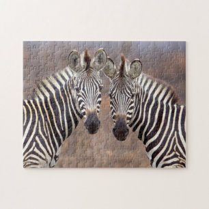 Steppenzebras, Kruger-Nationalpark Puzzle