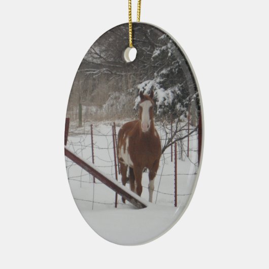 Stepper in der Schnee-Verzierung Keramikornament (Links)