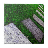 Stepping Stones by Shirley Taylor Fliese (Vorderseite)