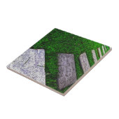 Stepping Stones by Shirley Taylor Fliese (Seite)