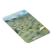 Stepping Stones Decorative Western Foto Magnete (Rechte Seite)