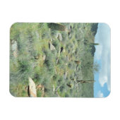 Stepping Stones Decorative Western Foto Magnete (Horizontal)