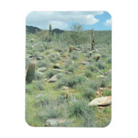 Stepping Stones Decorative Western Foto Magnete