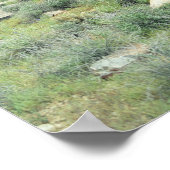 Stepping Stones Sonoran Desert Art Print Poster (Ecke)