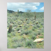 Stepping Stones Sonoran Desert Poster Art Prints (Vorne)