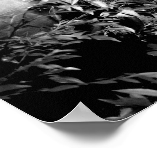 Steppweg in Schwarz/Weiß Poster (Ecke)