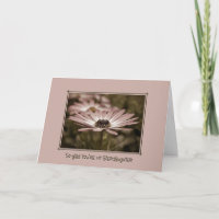 Steptochers Geburtstagsrosa Daisy