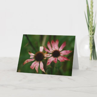 Sterbende Blumen-Gruß-Karte Karte