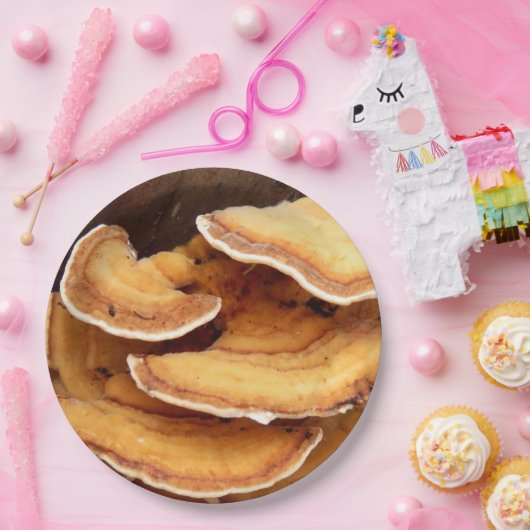 Stereum Hirsutum Fungi Paper Teller (Party)