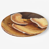 Stereum Hirsutum Fungi Paper Teller (Schrägansicht)