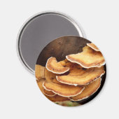 Stereum Hirsutum Mushroom Magnet (Vorderseite/Rückseite)