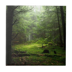 Sterious Wald Fliese