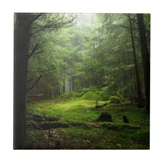 Sterious Wald Fliese (Vorderseite)