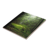 Sterious Wald Fliese (Seite)