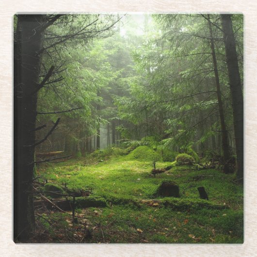 Sterious Wald Glasuntersetzer (Vorderseite)
