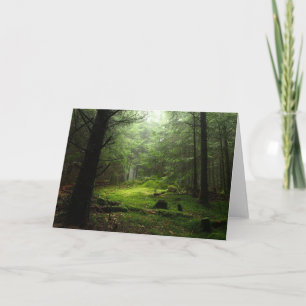 Sterious Wald Karte