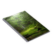Sterious Wald Notizblock (Rechte Seite)