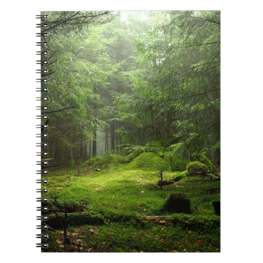 Sterious Wald Notizblock (Vorderseite)