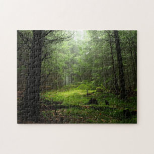 Sterious Wald Puzzle