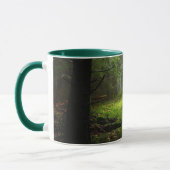 Sterious Wald Tasse (Links)
