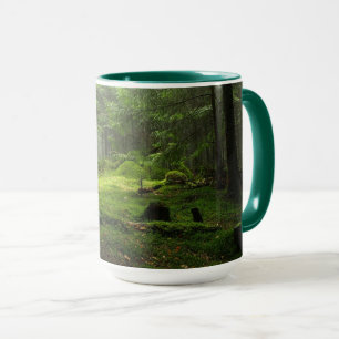 Sterious Wald Tasse