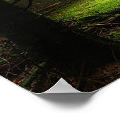 Steriowald Poster (Ecke)