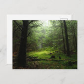Steriowald Postkarte (Vorne/Hinten)