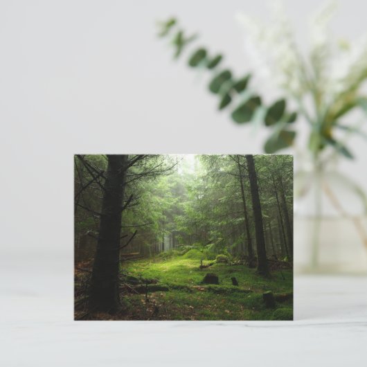 Steriowald Postkarte (Stehend Vorderseite)