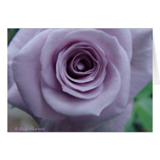 Sterlingsilber-Rosen-Karten-Entwurf