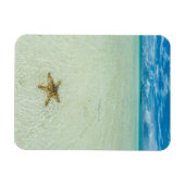Stern am Meer in flachem Wasser, Palau Magnet (Horizontal)