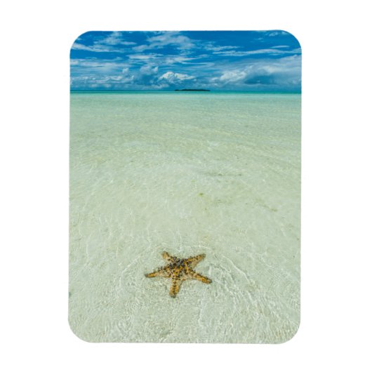 Stern am Meer in flachem Wasser, Palau Magnet (Vertikal)
