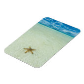 Stern am Meer in flachem Wasser, Palau Magnet (Linke Seite)