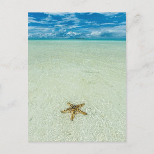 Stern am Meer in flachem Wasser, Palau Postkarte (Vorderseite)
