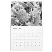 Stern-B&W Fotografie-Kalender - durch Kelly-Wein Kalender (Jan 2026)