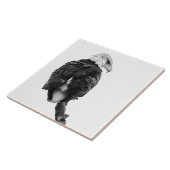 Stern Bald Eagle Fliese (Seite)