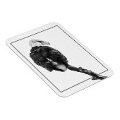 Stern Bald Eagle Magnet (Rechte Seite)