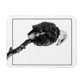 Stern Bald Eagle Magnet (Horizontal)