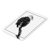 Stern Bald Eagle Magnet (Linke Seite)