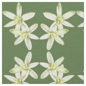 Stern der Blume Bethlehem Stoff (Nahaufnahme)