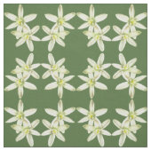 Stern der Blume Bethlehem Stoff (Muster)